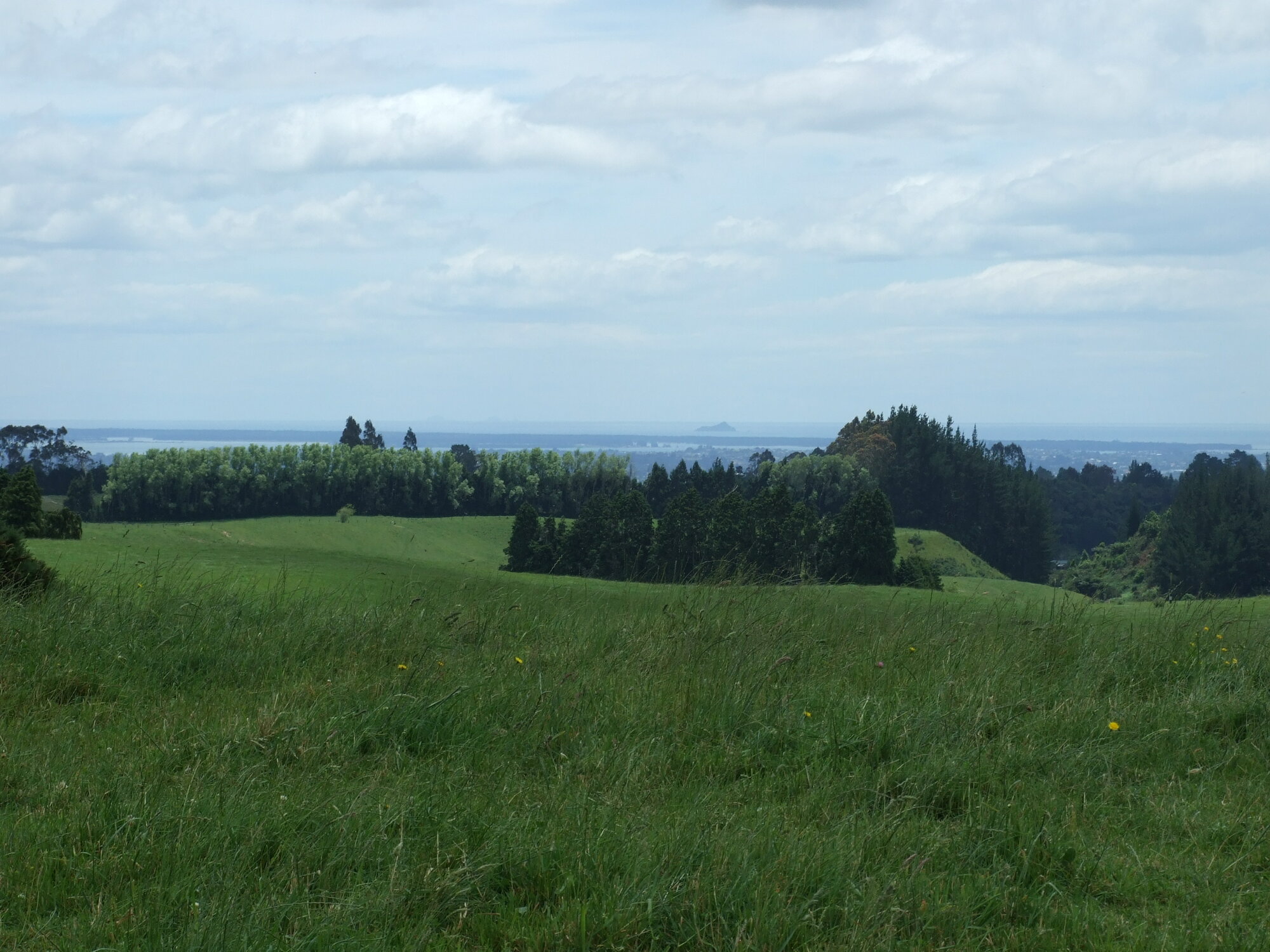 Sites: Maenene