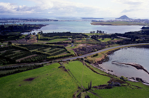 Sites: Te Papa o Matapihi