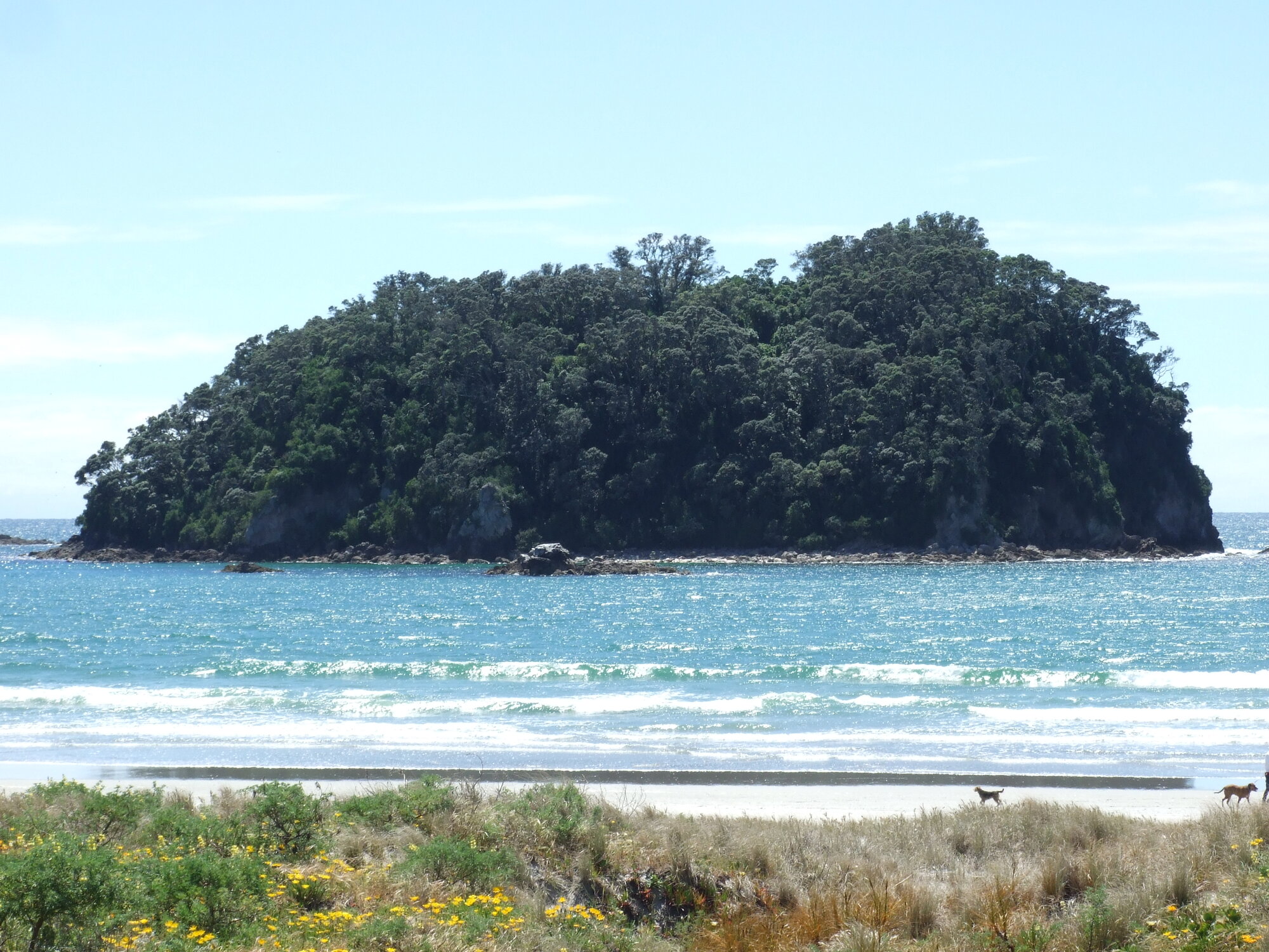 Sites: Motuotau