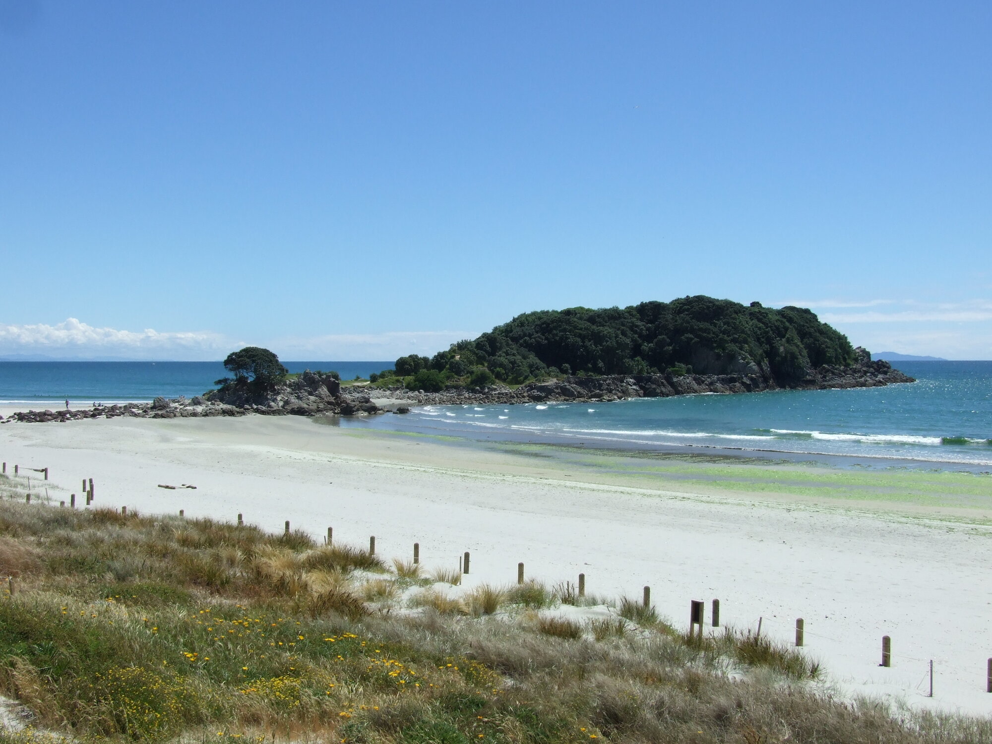 Sites: Moturiki