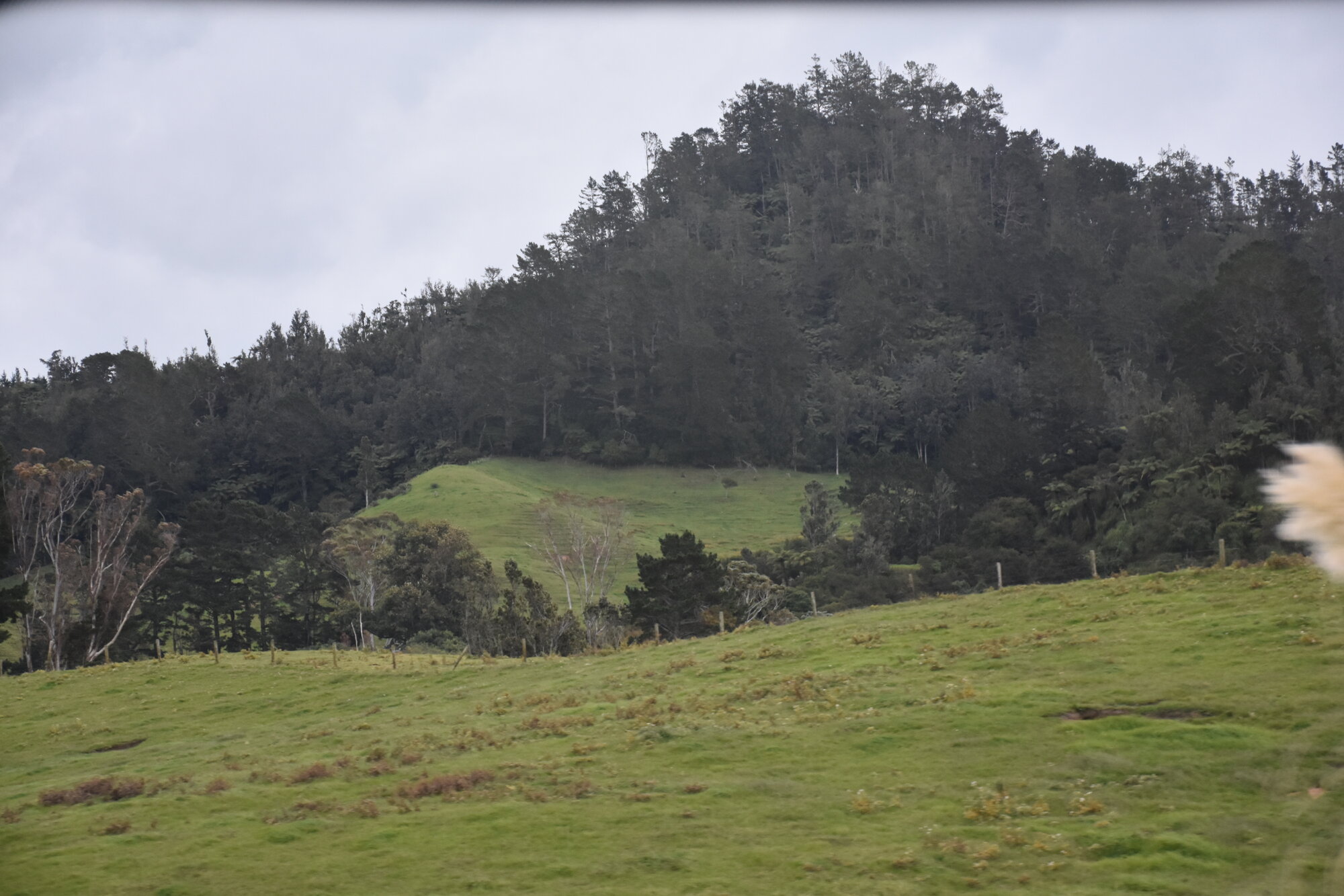 Sites: Ngā Tukituki ā-Hikawera/Athenree