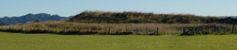 Sites: Owarau / Kauri Point