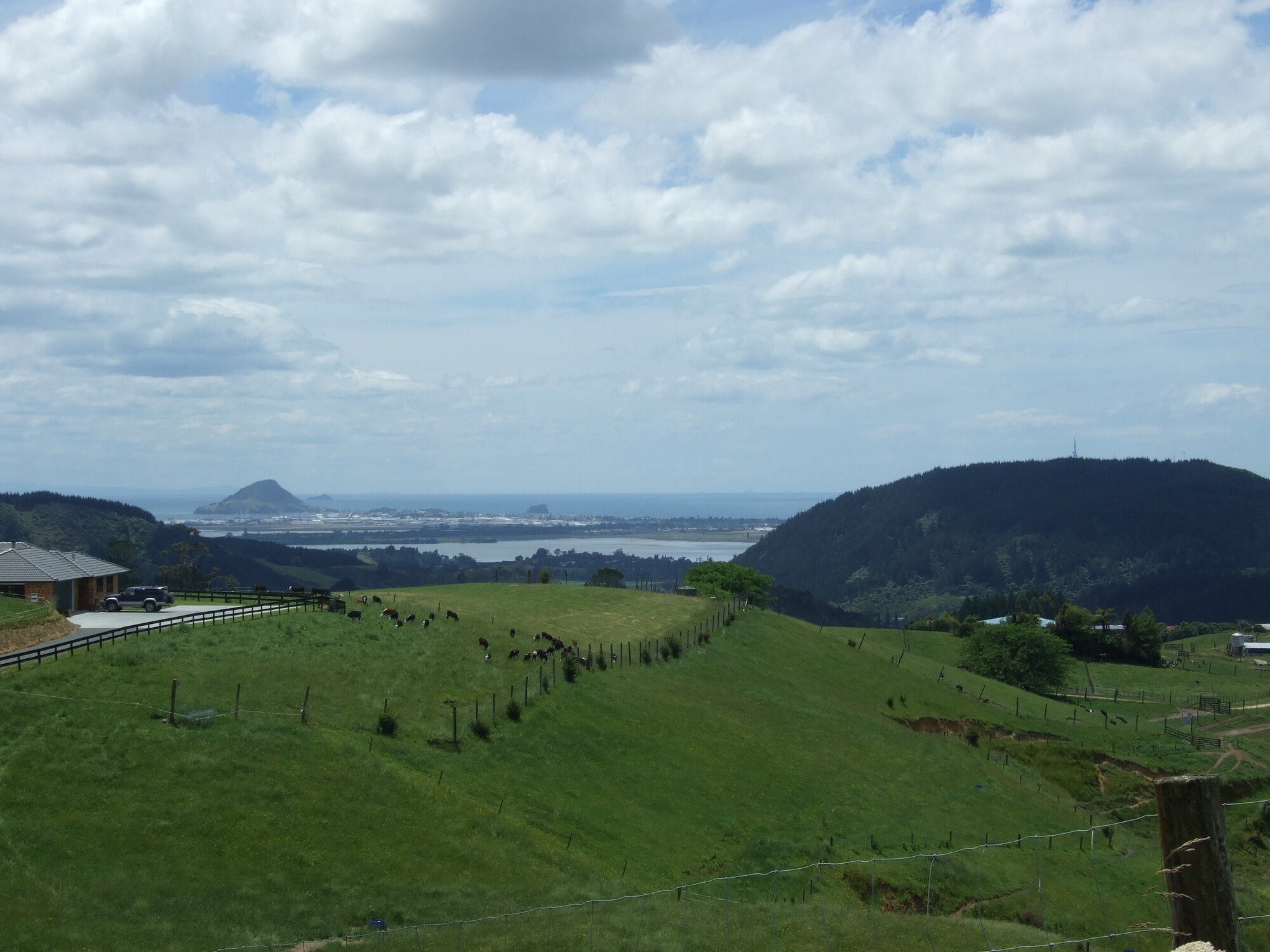 Sites: Te Rae o Pāpāmoa