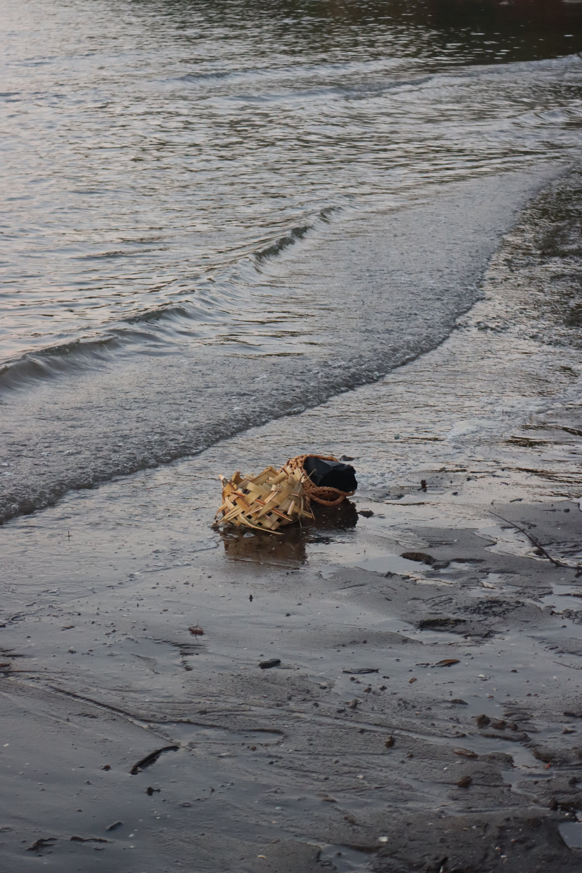 Te Iringa Ōkawa o Te Tai Whanake 