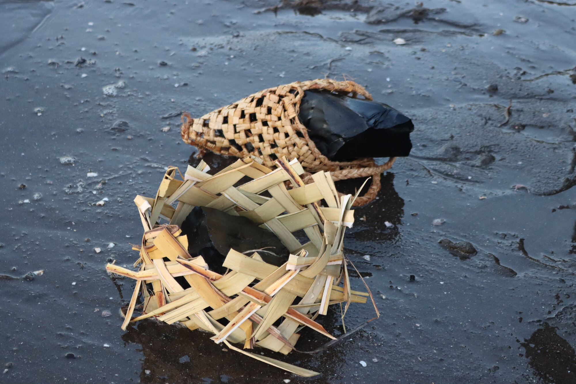 Te Iringa Ōkawa o Te Tai Whanake 