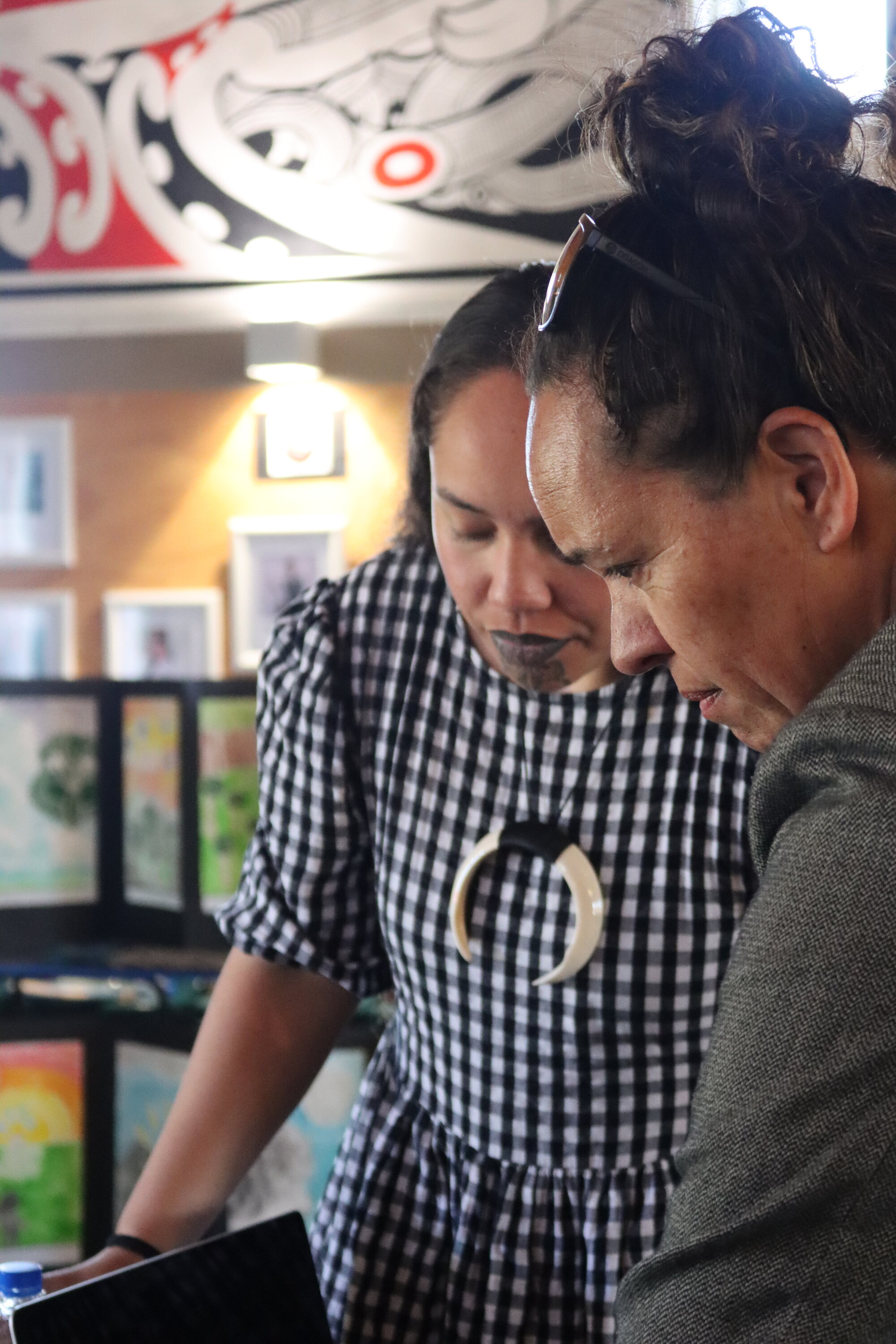 Te Iringa Ōkawa o Te Tai Whanake 