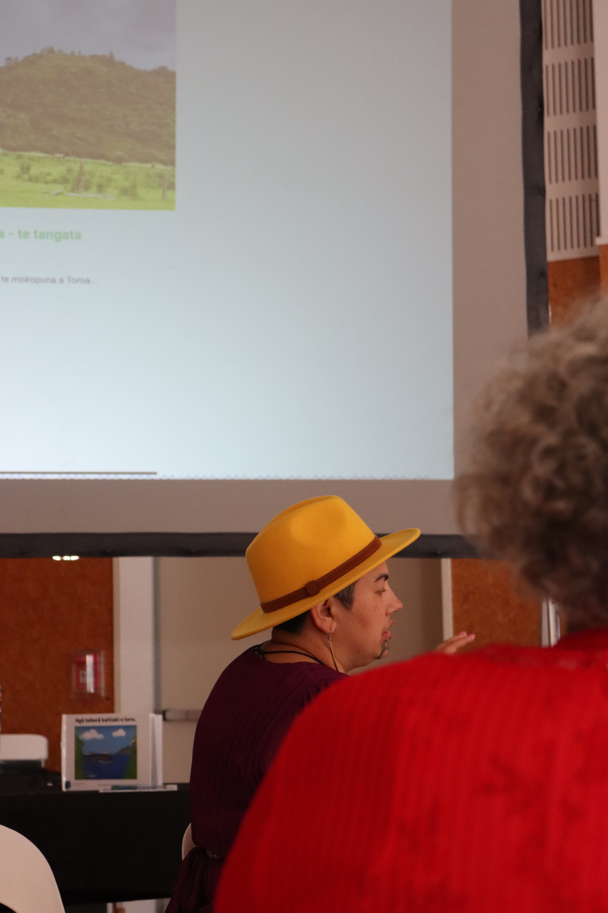 Te Iringa Ōkawa o Te Tai Whanake 