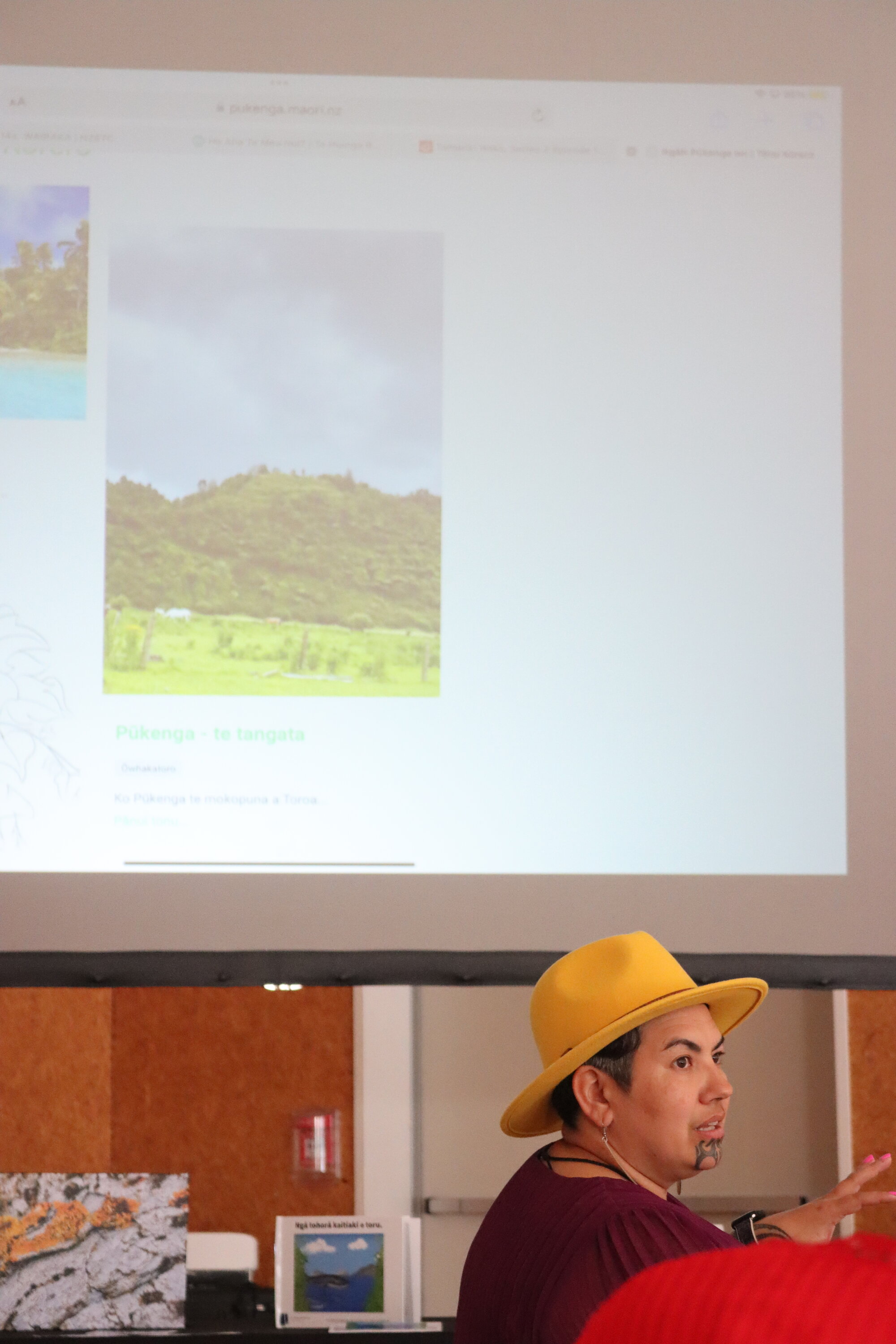 Te Iringa Ōkawa o Te Tai Whanake 