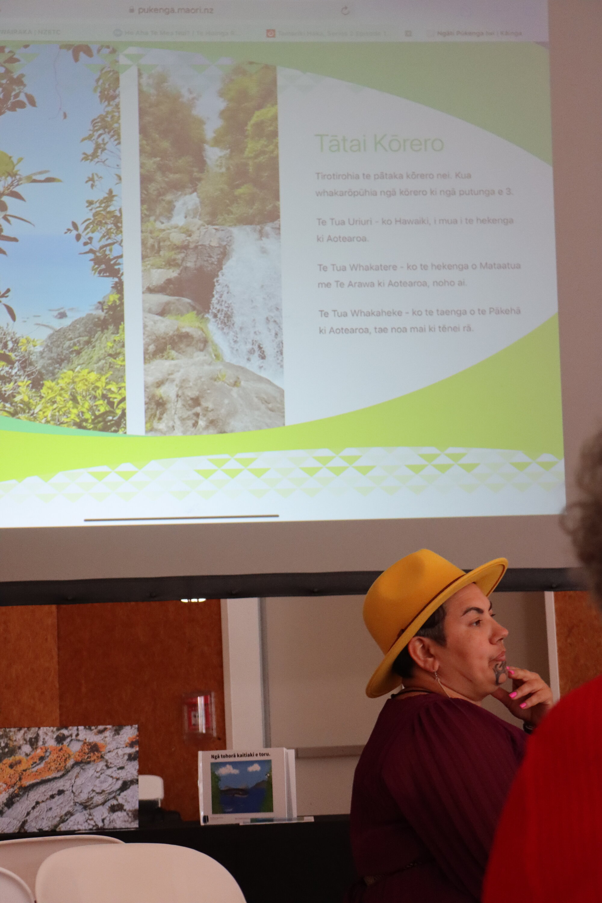 Te Iringa Ōkawa o Te Tai Whanake 