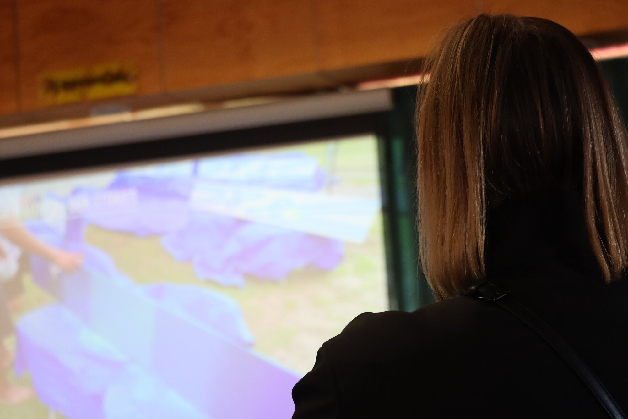 Te Iringa Ōkawa o Te Tai Whanake 