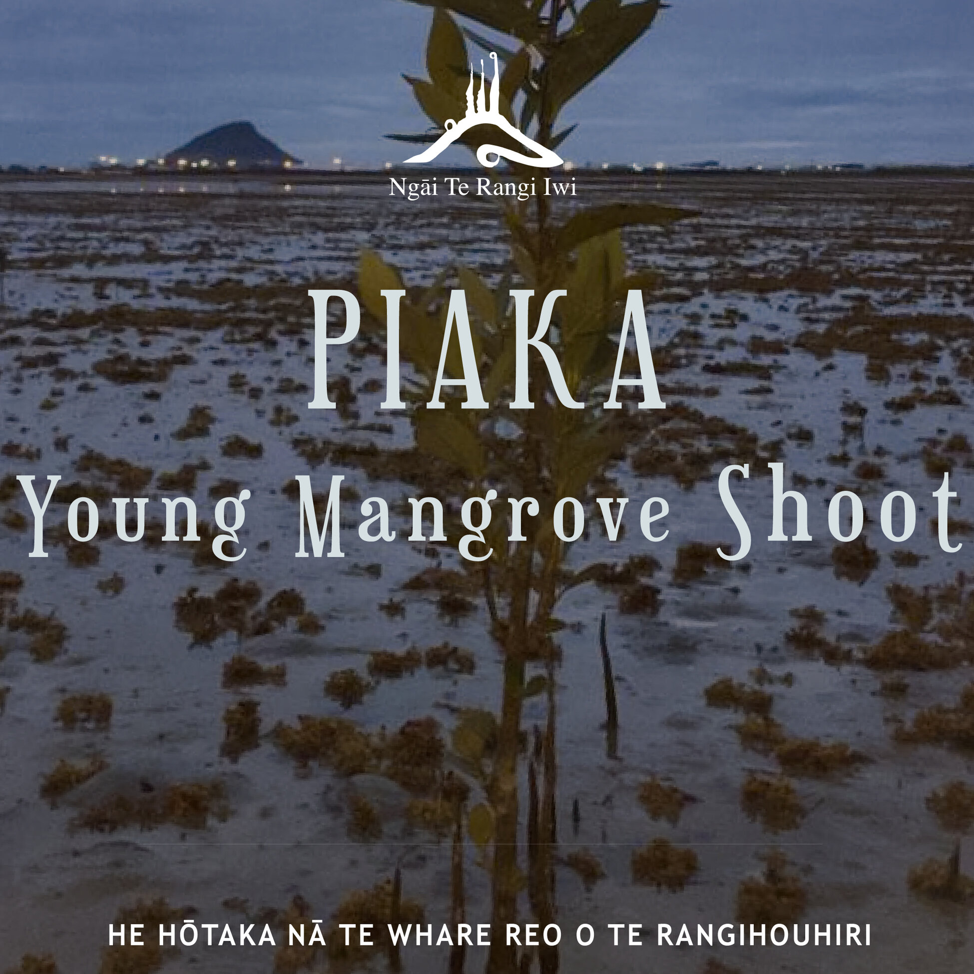 Kupu ā-iwi: Piaka