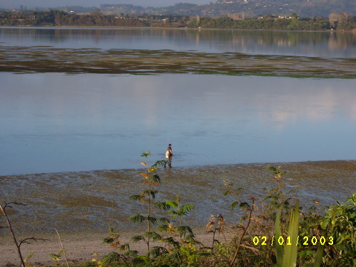 Motuhoa Photos