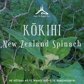 Kupu ā-iwi: Kōkihi
