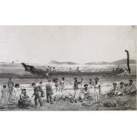 Te Papa Waka Regatta 1860s