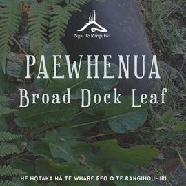 Kupu ā-iwi: Paewhenua
