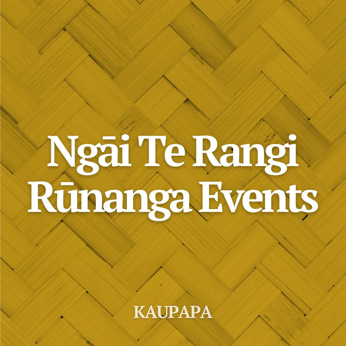 Ngāi Te Rangi Runanga Events