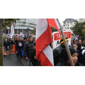 Takahi Mana, Takahi Tikanga protest: Hikoi to parliament
