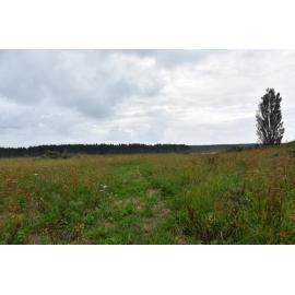 Kaupapa: Site visit with Enoka Rolleston on Matakana