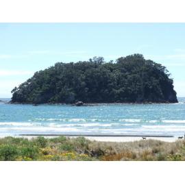 Sites: Motuotau