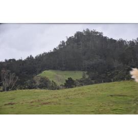 Sites: Ngā Tukituki ā-Hikawera/Athenree