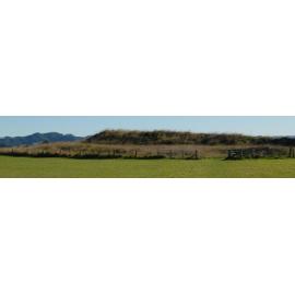 Sites: Owarau / Kauri Point