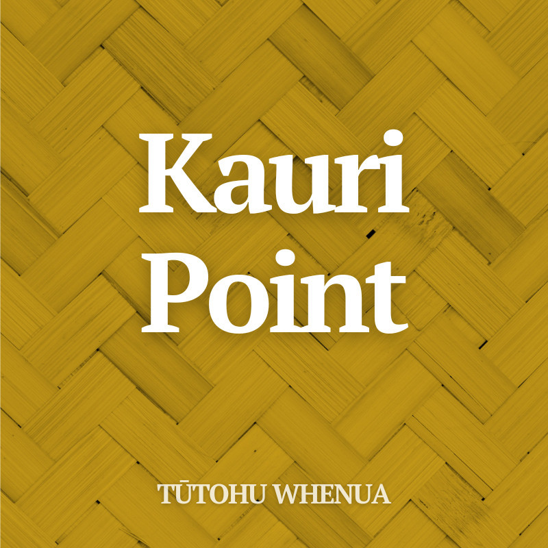 Kauri Point