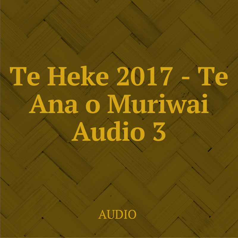 Te Heke 2017 - Te Ana o Muriwai Audio 3