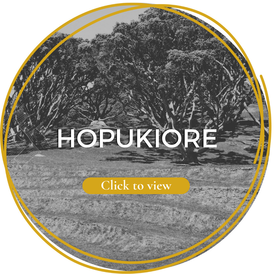 Hopukiore