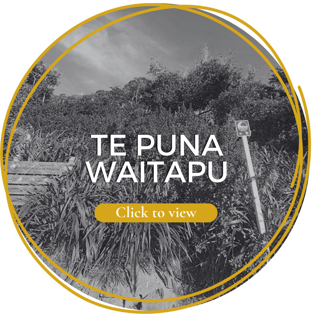 Te Puna Waitapu 