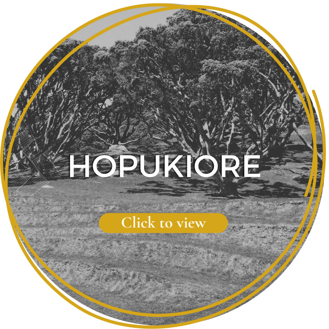 Hopukiore