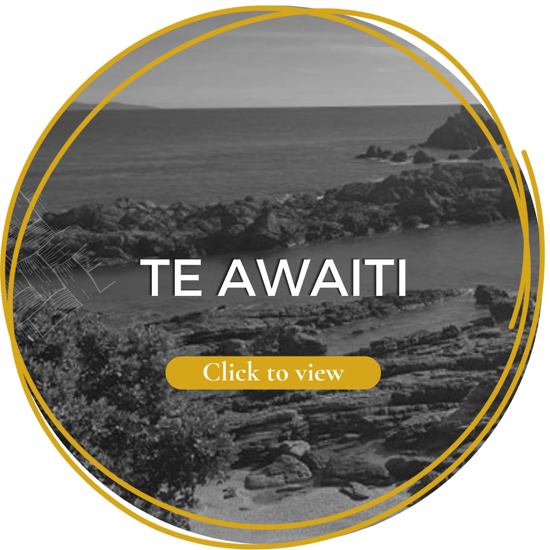 Te Awaiti 