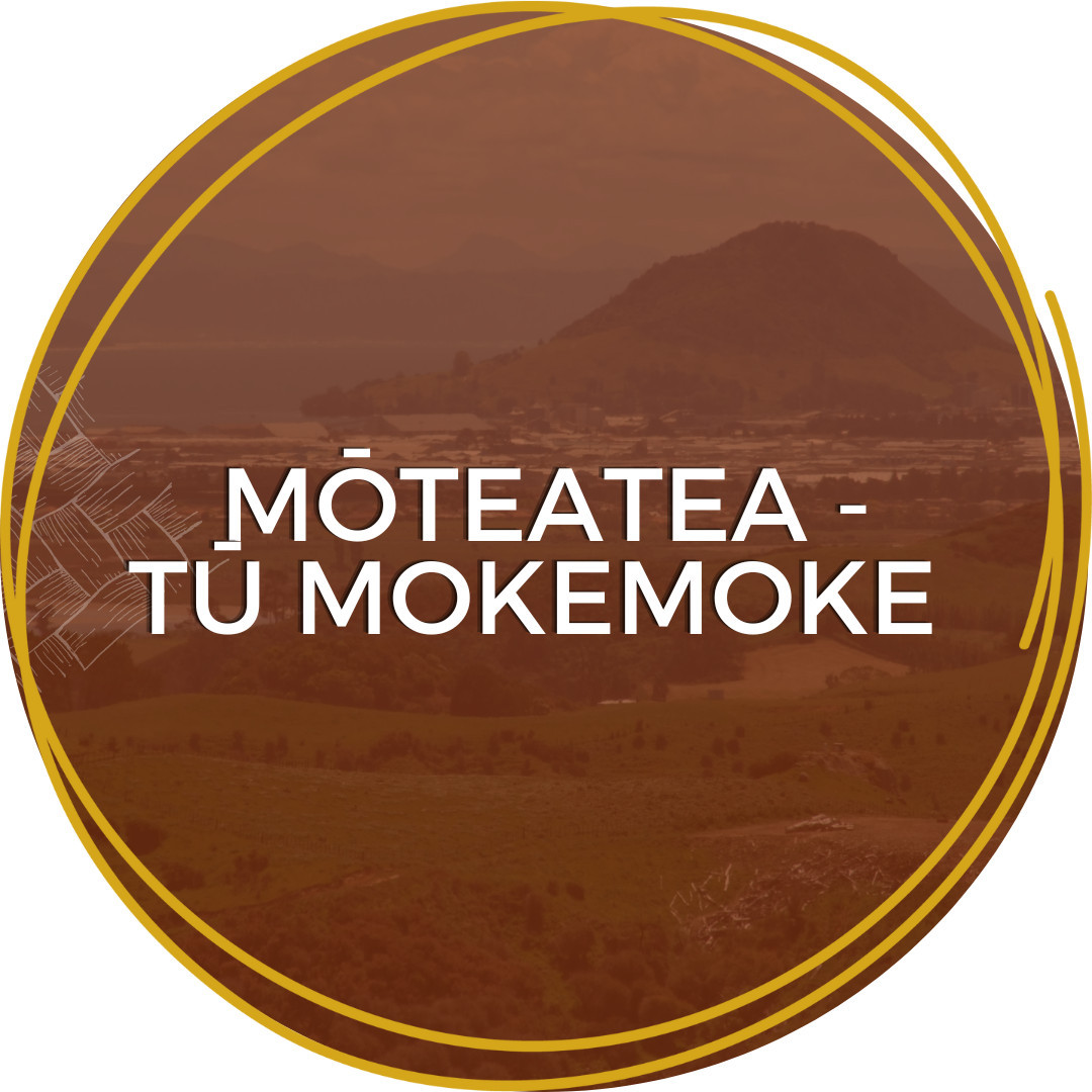 Tū mokemoke nā Kaikohe Rolleston 