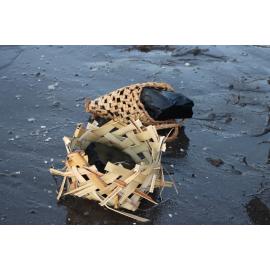 Te Iringa Ōkawa o Te Tai Whanake 
