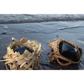 Te Iringa Ōkawa o Te Tai Whanake 
