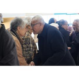 Te Iringa Ōkawa o Te Tai Whanake 