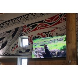 Te Iringa Ōkawa o Te Tai Whanake 