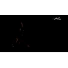 TE MATATINI 2015: Te Kapa Haka o Ngāti Ranginui