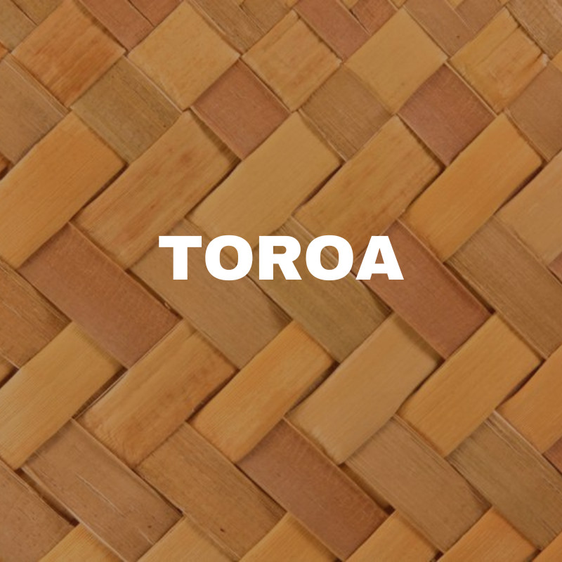 Toroa